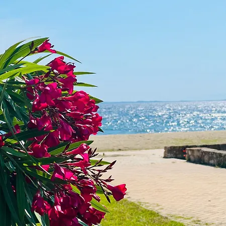 Carpe Diem Apartment Psakoudia