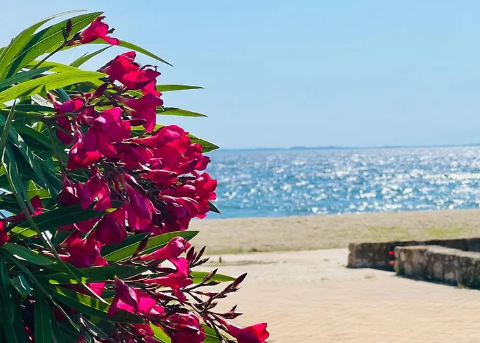 Carpe Diem דירה פסאקודיה