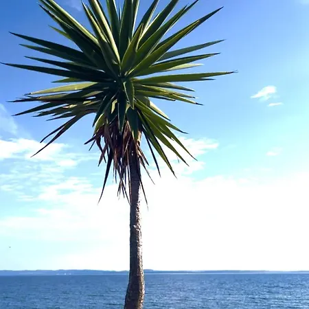 Carpe Diem * プサコウディア