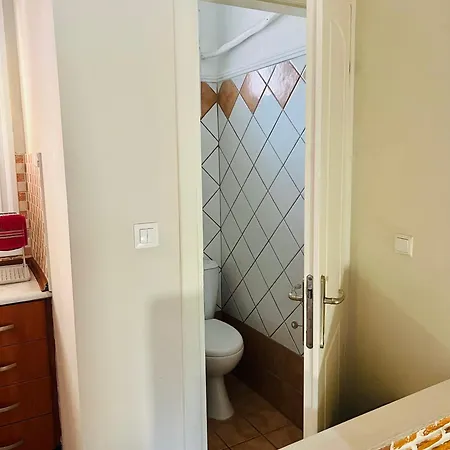 Carpe Diem プサコウディア