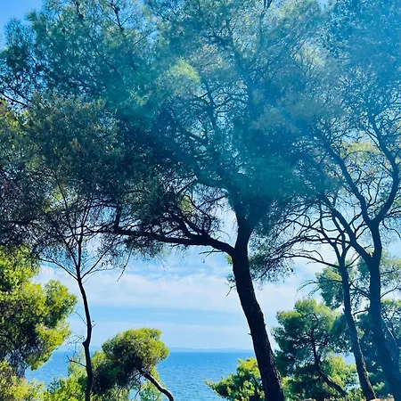 アパート Carpe Diem *